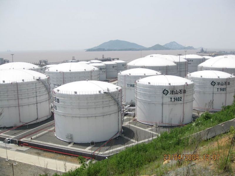 Inspection performance of large storage tanks